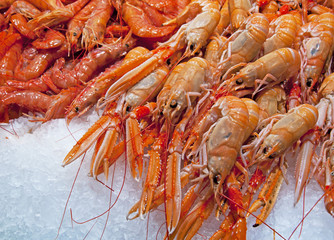Close Up Fresh Shrimps On Display On Ice On Fishermen Market Sto