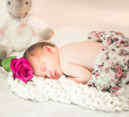 sweet newborn baby girl asleep next to soft toy