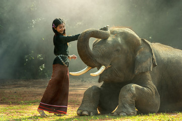 Naklejka na ściany i meble Elephant with Asian girl