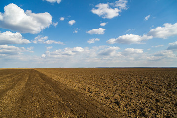 Agricultural landscape, arable crop field