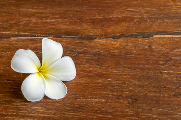 Fototapeta na wymiar Wood texture with white flower