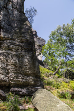 Umgebung am Frienstein, Nationalpark S&auml;chsische Schweiz