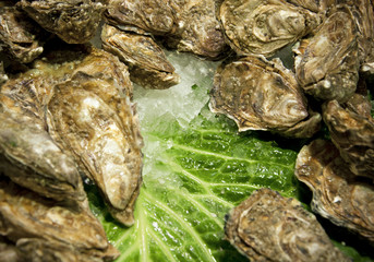  Delicious boiled or steamed cockles on plate