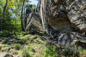 Umgebung am Frienstein, Nationalpark Sächsische Schweiz