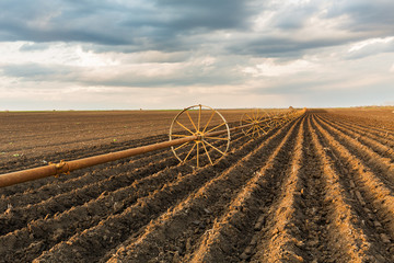 Potato field with irrigation system, right after seeding