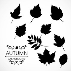 Autumn background from leaves of different colors with the inscription