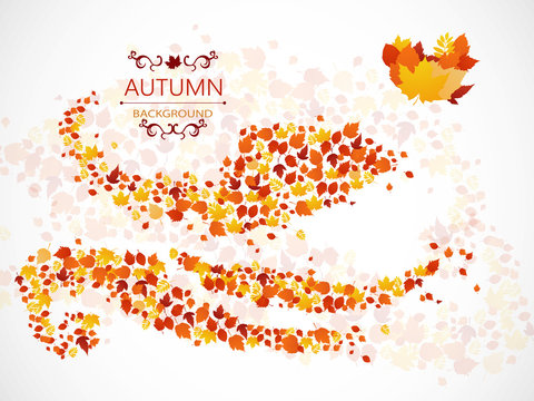 Autumn background from leaves of different colors with the inscription