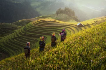 Crédence de cuisine en verre imprimé Mu Cang Chai Agriculteur dans les rizières en terrasses en saison des pluies à Mu cang chai, Vietnam. Les champs de riz se préparent pour la transplantation au nord-ouest du Vietnam
