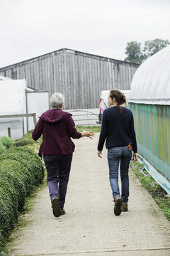 Two People Walking Down The Path In An Organic Plant Nursery. 