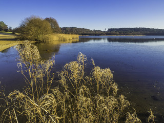 Frensham Great Pond, Surrey, UK