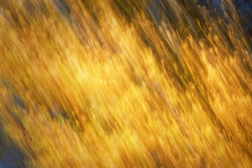 Abstract autumn landscape - 121953599