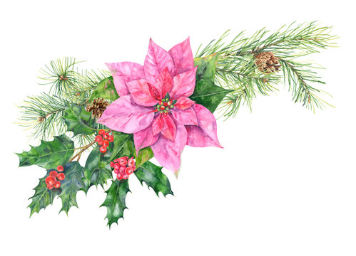 Christmas Bouquet, Garland Of Plants: Pine Branches And Cones, Holly Berry And Poinsettia Flower On White Background, Hand Draw Watercolor Painting, Botanical Illustration, Vintage