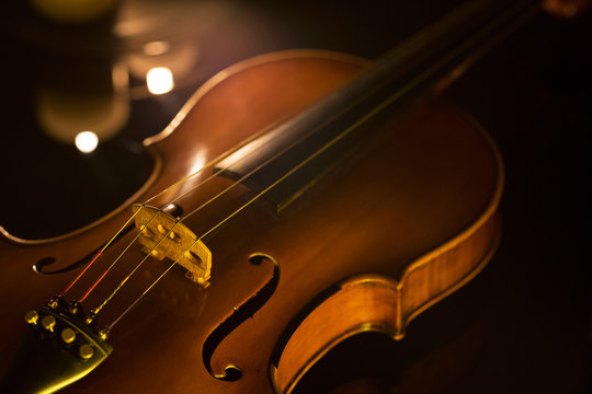 Viola