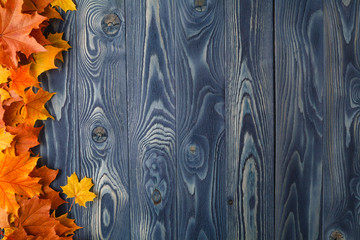 Autumn background with colour leaves on blue boards