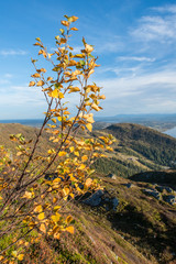 Autumn in the mountains