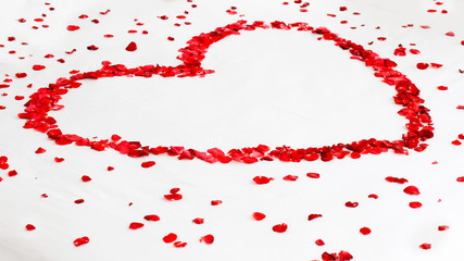 Romantic red rose flowers in heart shape among petals on white background. Wedding, Valentine's Day, love, Mother's Day etc concepts.