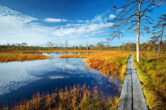 Viru bogs at Lahemaa national park in autumn. Wooden path at beautiful wild place in Estonia