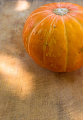 background for Halloween holiday - decorative pumpkin