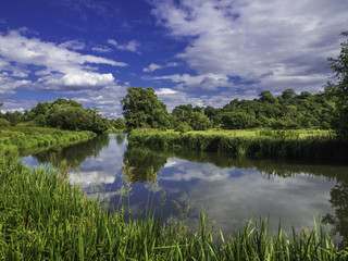 Obraz na płótnie Canvas Farncombe, River Wey, Surrey