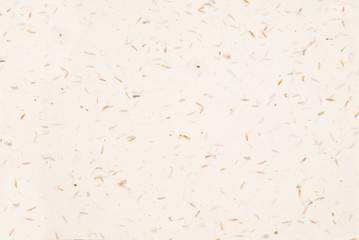 Speckled organic confetti paper background.