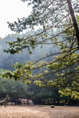 Herbst in Mecklenburg