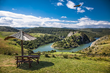 Griffon vulture flying over meanders of Uvac river in Serbia.