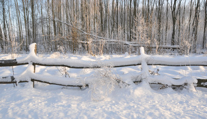 Zimowy pejzaż © jadwiga.koniecko