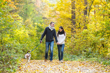 Young couple with dog on a walk in autumn forest