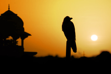 Sonnenaufgang am Taj Mahal