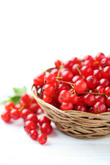 Red currant on a white wooden table