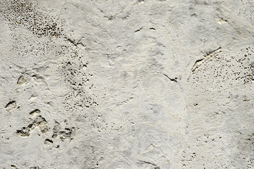 background with limestone texture