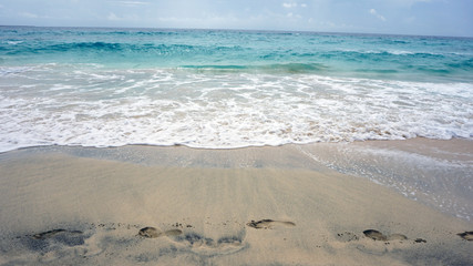 tropical beach in africa