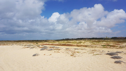 sand dunes