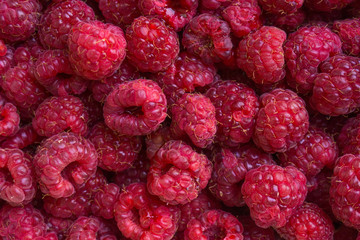 Fresh raspberries background
