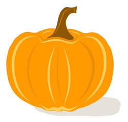 pumkin