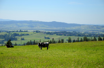 Mountain landscape (The Tatras in Poland)