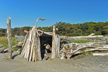driftwood shelter on the Washington coast