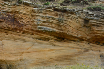Sandstone Layering at Clashach Cove