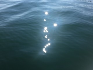 dancing  diamonds on the water