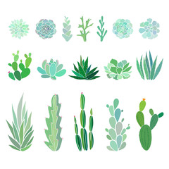 big set with cactuses and succulents - 121968748
