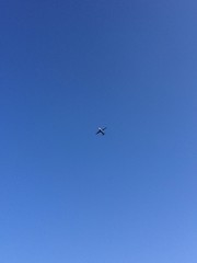 Airplane in the sky
