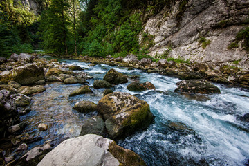 mountain river. Nature composition.  landscape with mountains tr