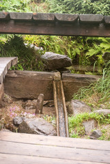 Pramen Vltavy - Vlatav river stream in Sumava mountains