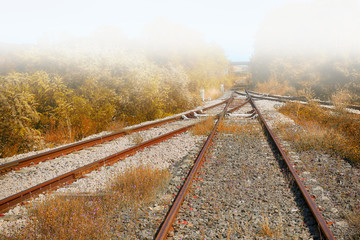 Fototapeta premium Railway Tracks in the Fog