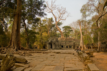 Angkor,Kambodża © wylkerd