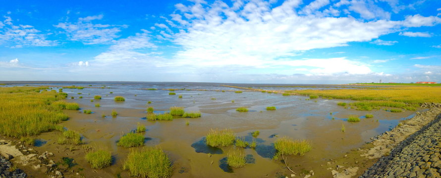 Nationalpark schleswig-holsteinisches Wattenmeer bei Friedrichskoog Spitze
