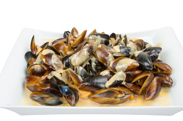 Sea gift. Portion of cooked mussels with white sauce.