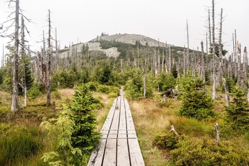 Fototapeten timber pathway near Marfleckl with Lusen hill with huge blockfield in Bavarian Forest © honza28683