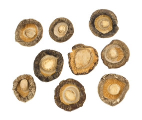 Underside of dried mushrooms on a white background