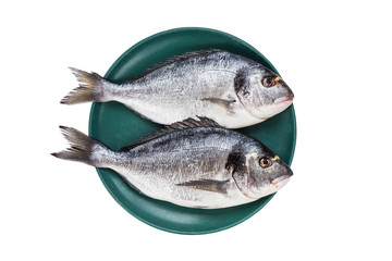 Raw dorado fish on green plate isolated over white background. Top view, copy space
